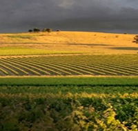 Kellermeister Wines - Hobart Tourism