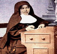 Mary MacKillop Penola Centre - Tourism TAS