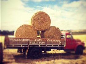 Moorooroo Park Vineyards - Hobart Tourism 0