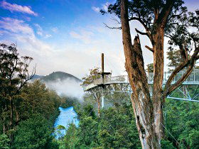  Tourism TAS