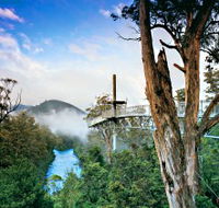 Tahune Adventures Tasmania - Tourism TAS