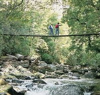 Arve Forest Drive - Tourism TAS