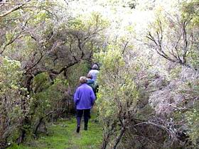 Jack And Hilda McArthur Walk - Hobart Tourism 0