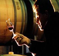 Salena Estate Wines - Tourism TAS