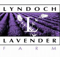 Lyndoch Lavender Farm and Cafe - Hobart Tourism