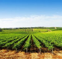 Aldinga Bay Winery - Tourism TAS