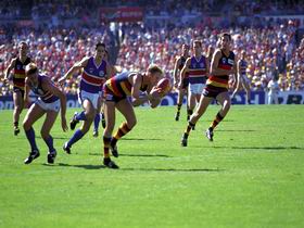 AAMI Stadium Tours - Hobart Tourism 0