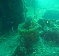 Wallaroo Scuba Club - Tourism TAS