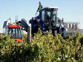 Ballast Stone Estate Wines Pty Ltd - Hobart Tourism 0