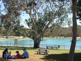Naracoorte Nature Park And Swimming Lake - Tourism TAS 0