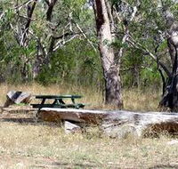 Penola Conservation Park - Tourism TAS