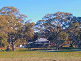 Old Wilpena Station - Tourism TAS 0