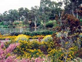 Wittunga Botanic Garden - Tourism TAS 0