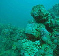 Adelaide's Underwater Heritage Trail - Tourism TAS