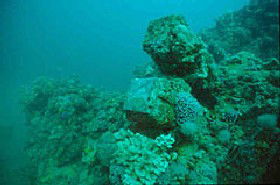 Adelaide's Underwater Heritage Trail - Tourism TAS 0