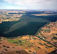 Mount Crawford Forest Reserve - Hobart Tourism