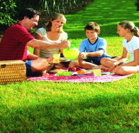 Bruny Island Berry Farm - Tourism TAS
