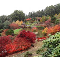 Emu Valley Rhododendron Garden - Tourism TAS