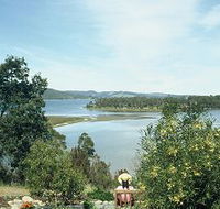 Inverawe Native Gardens - Tourism TAS