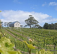 Bruny Island Premium Wines Bar and Grill - Tourism TAS