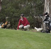 Tasmania Golf Club - The - Hobart Tourism