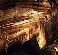 Gunns Plains Cave - Tourism TAS