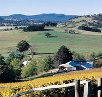 Freycinet Vineyards Pty Ltd - Hobart Tourism