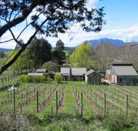 Wilmot Hills Vineyard - Hobart Tourism