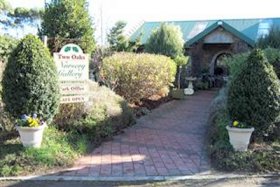 Two Oaks Nursery, Gallery And Cafe - Tourism TAS 0
