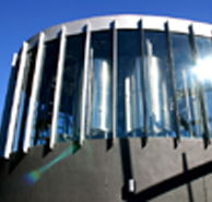 Moo Brew - Hobart Tourism