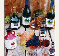 Hartzview Vineyard - Tourism TAS