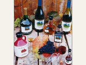 Hartzview Vineyard - Tourism TAS 0