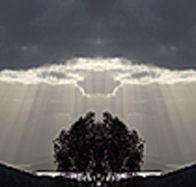 aart. Gallery of Fine Art - Hobart Tourism