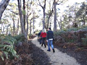  Tourism TAS