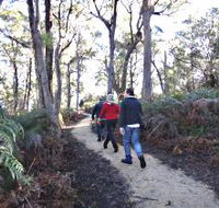 Bridport Walking Track - Tourism TAS