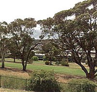 Rosny Park Public Golf Course - Hobart Tourism