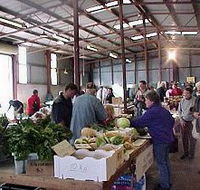 Burnie Farmers' Market - Tourism TAS