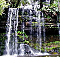Mt Field National Park - Tourism TAS