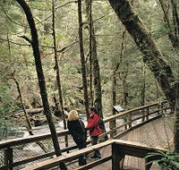 Franklin River Nature Trail - Tourism TAS