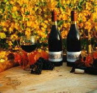 Craigow Vineyard - Hobart Tourism