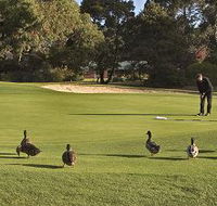 Royal Hobart Golf Club - Tourism TAS