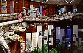 West Coast Visitor Information And Booking Centre - Tourism TAS 0