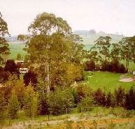 The Tasmanian Arboretum - Hobart Tourism