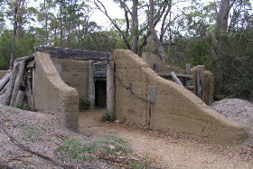  Tourism TAS