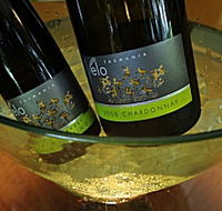 Velo Wines - Tourism TAS