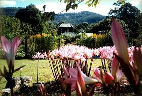 Blueberry Cottage Open Gardens - Hobart Tourism 0