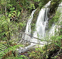 Hogarth Falls - Tourism TAS