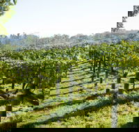 Surveyor's Hill Vineyards - Tourism TAS