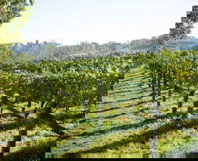 Surveyor's Hill Vineyards - Hobart Tourism 0