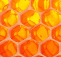 The Honey Pot - Hobart Tourism